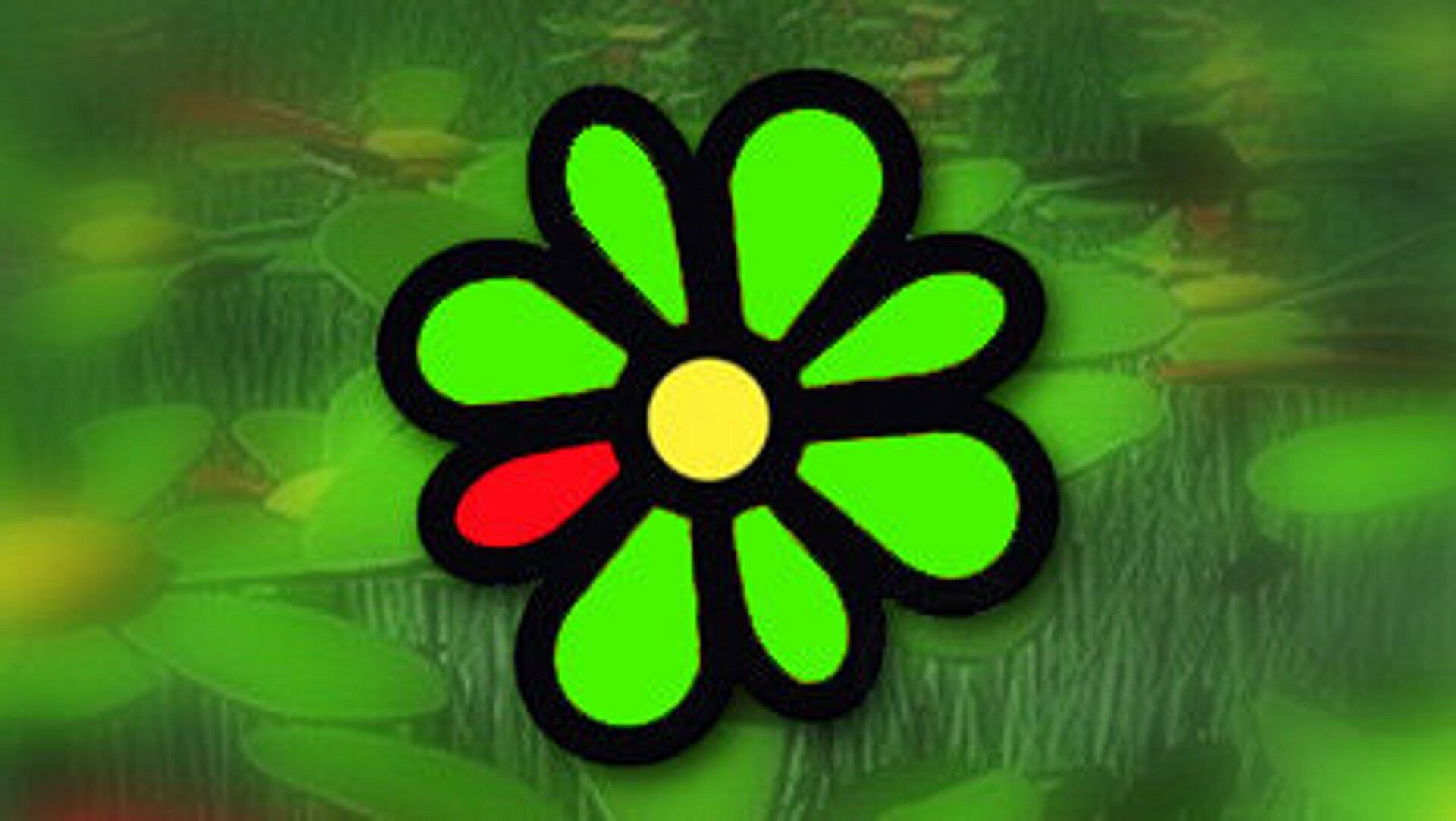  ICQ  